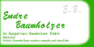 endre baumholzer business card